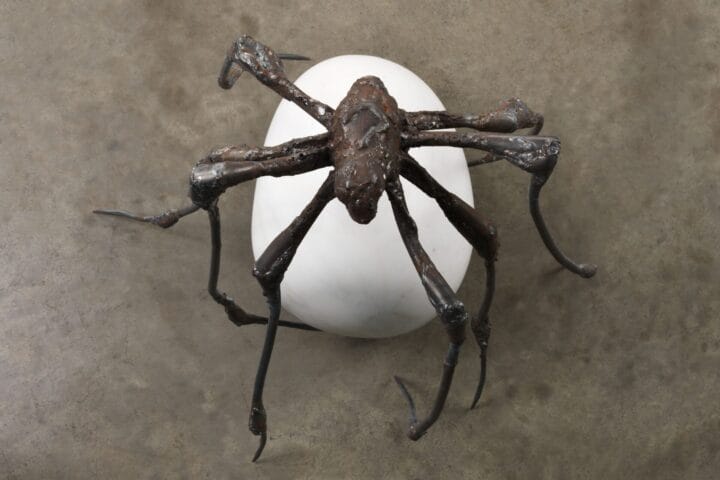 Louise Bourgeois. Spider 2000