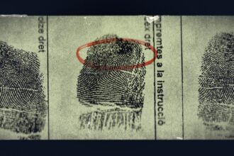 Angi Fake Life, True Crime