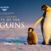 Secrets of the Penguins