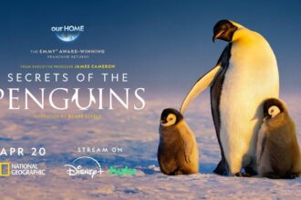 Secrets of the Penguins