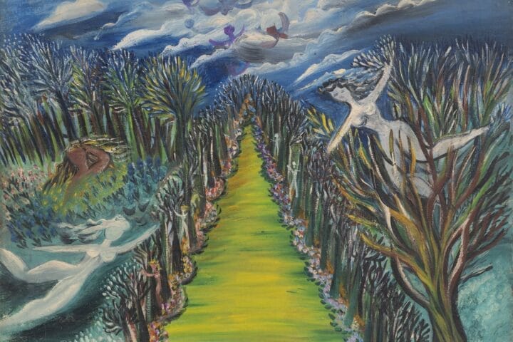 Lucia Wilcox