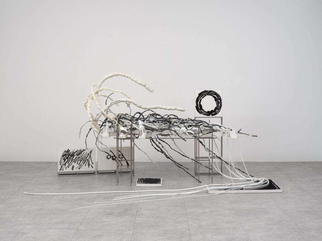 Haneyl Choi