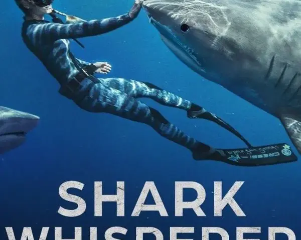 シャーク・ウィスパラー: サメと共存するために - Netflix