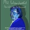 Mr. Wonderful