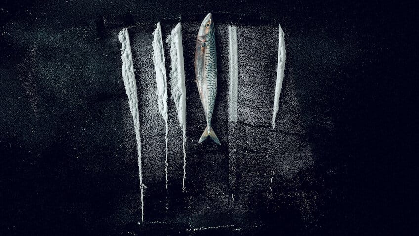 《毒海狂涛：鱼尾村离奇事件》