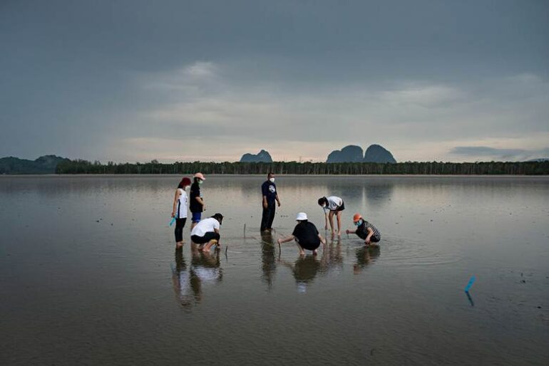 The Current艺术中心于斯托呈现贾科莫·多兰多的摄影深度解析